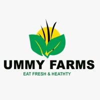 Ummy Farms